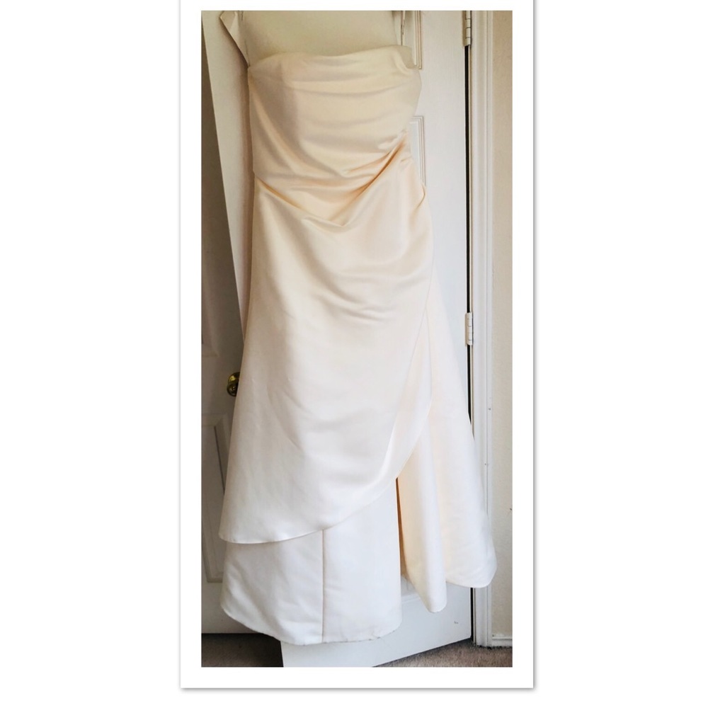 David’s Bridal Michaelangelo Wedding Dress w/Veil